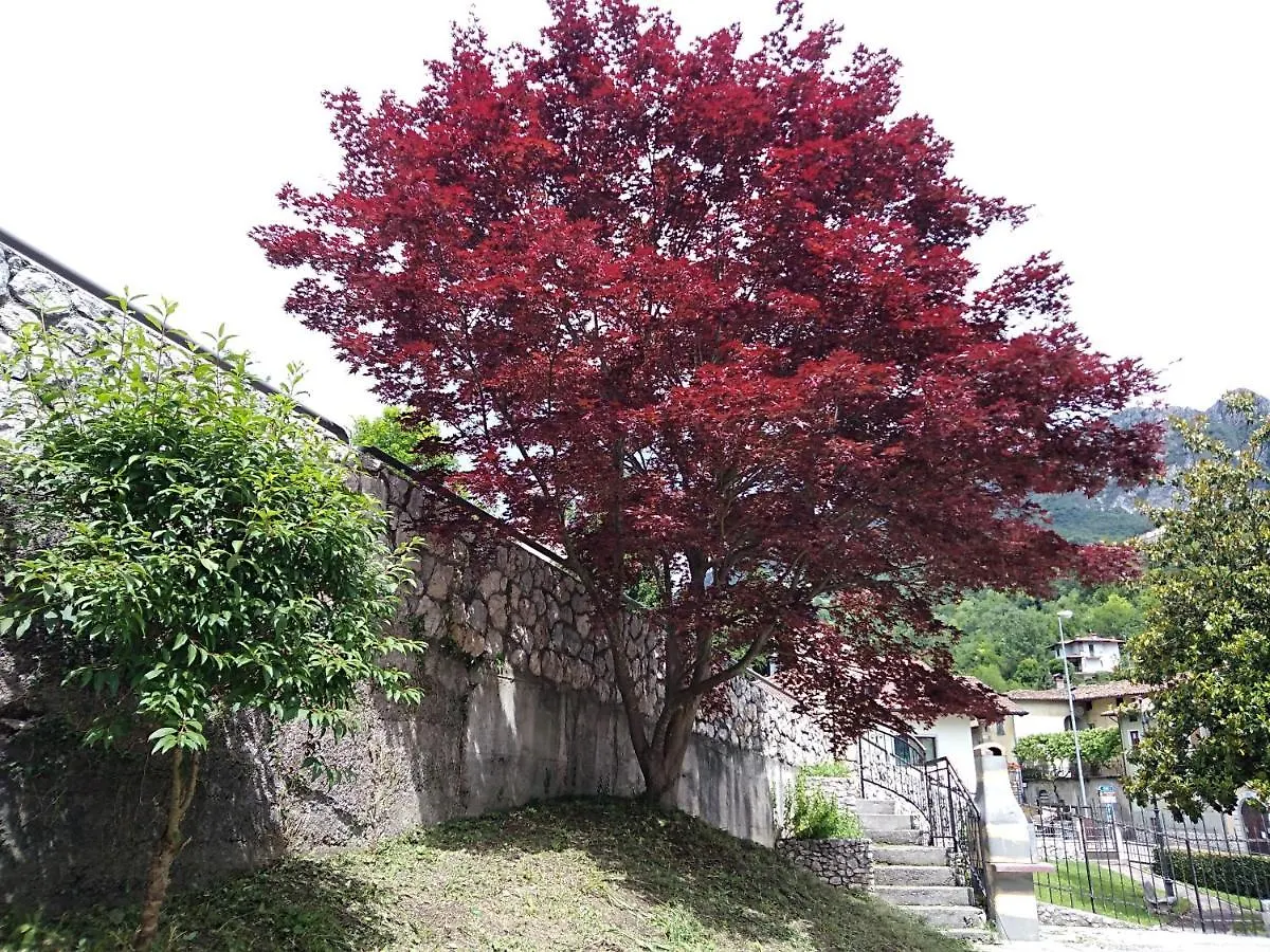 B&B L'Acero Casto 0*,  Italia