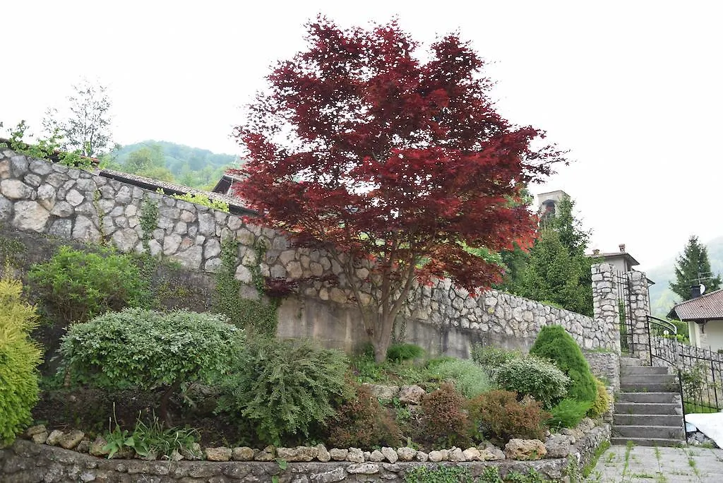 Bed & Breakfast B&B L'Acero Casto
